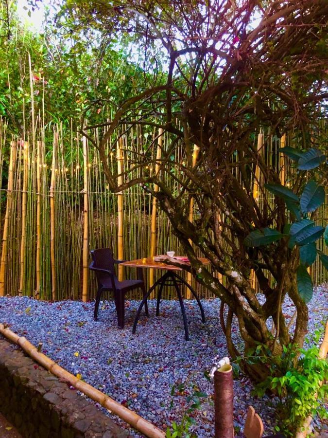 Eco Hostal Casa La Juana Bed and Breakfast Medellín Buitenkant foto